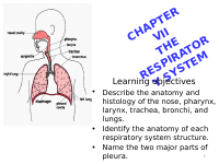 Respiratory system Ch7.pptx